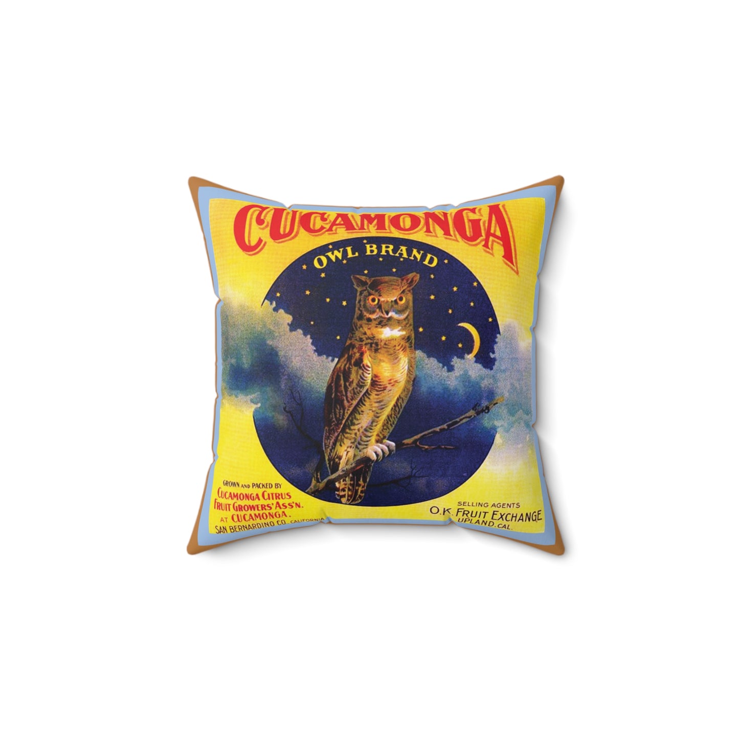 Cucamonga Owl Square Pillow