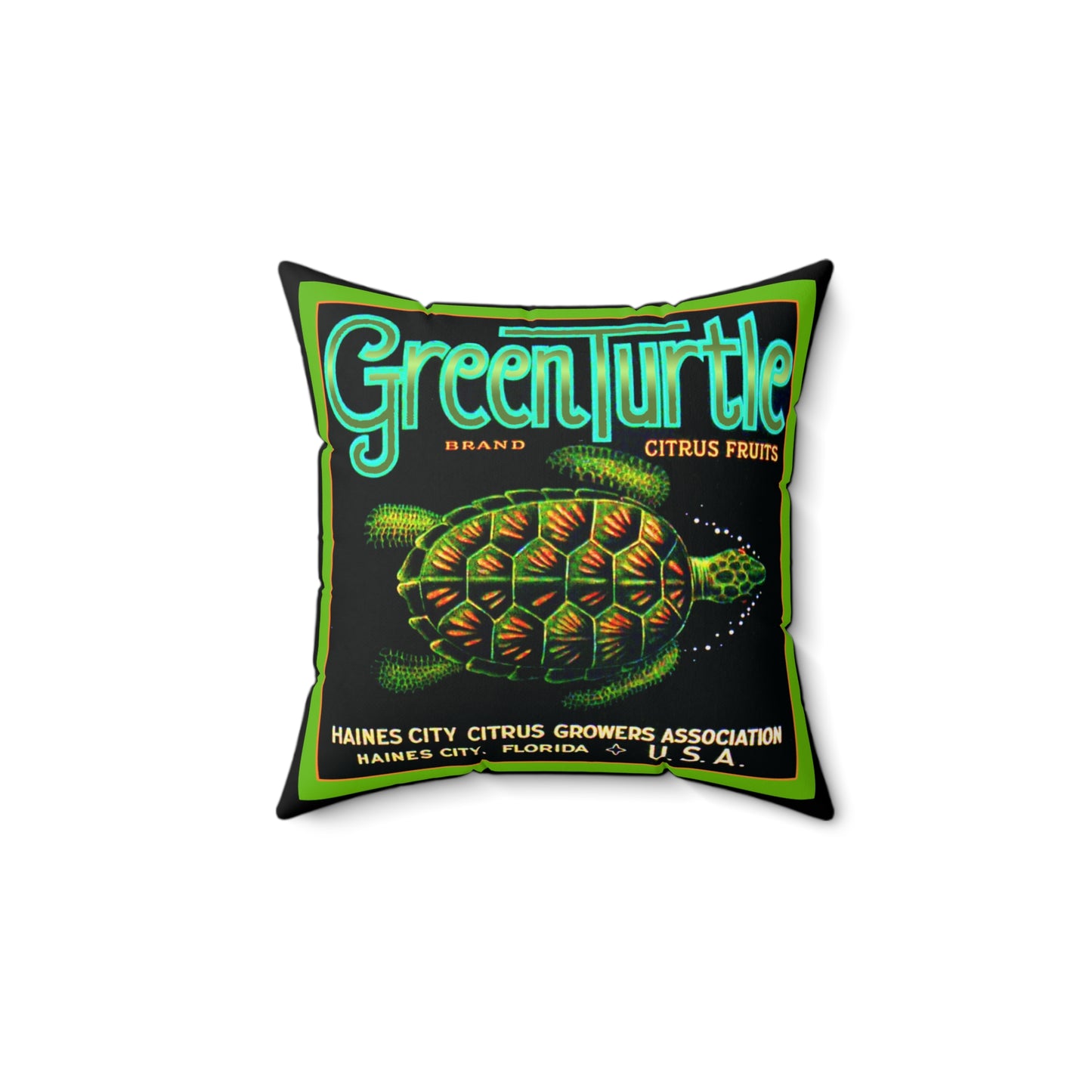 Green Turtle Square Pillow