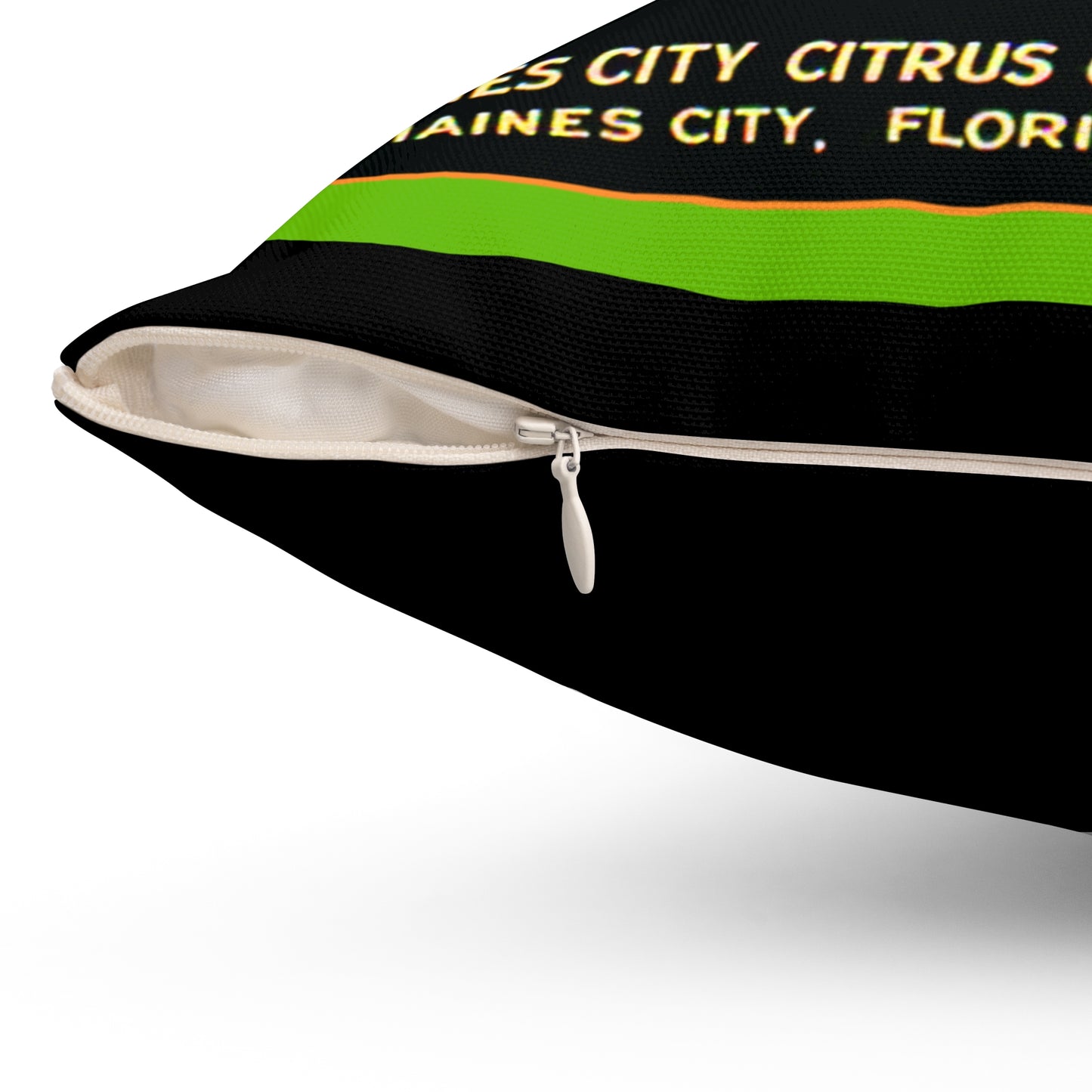 Green Turtle Square Pillow