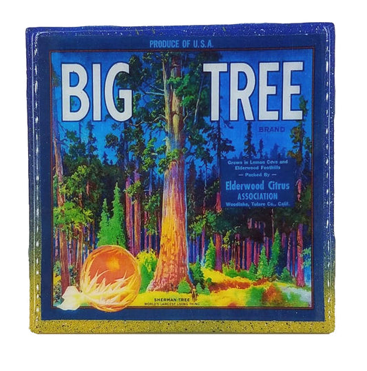 Handmade Coaster - National Parks - Big Tree Sequoia - Vintage Citrus Crate Art